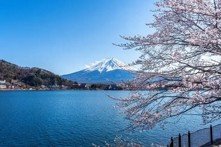 日本移民条件与流程完整解读