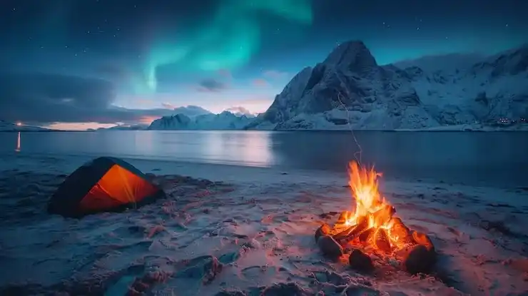 中国护照有美国绿卡可以去哪些国家？免签国家一览