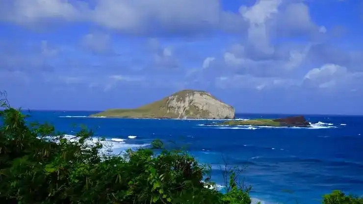 圣卢西亚移民eligibility年满18岁即可申请