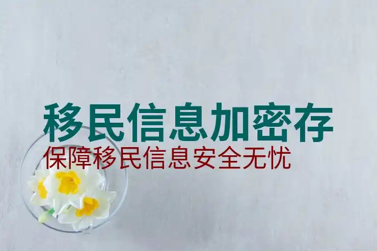 为什么要移民到国外？移民生活与机遇分析