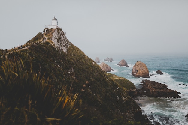 多米尼克旅游指南，详细介绍多米尼克的景点和必做的事情