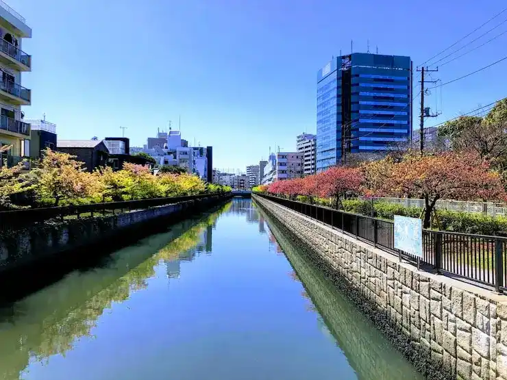 移民日本