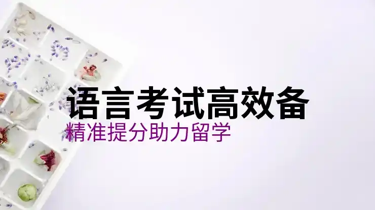 西班牙移民新政策2025年版家庭篇解析