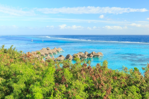 瓦努阿图货币Vanuatu currency新旧版更换时期的识别要点