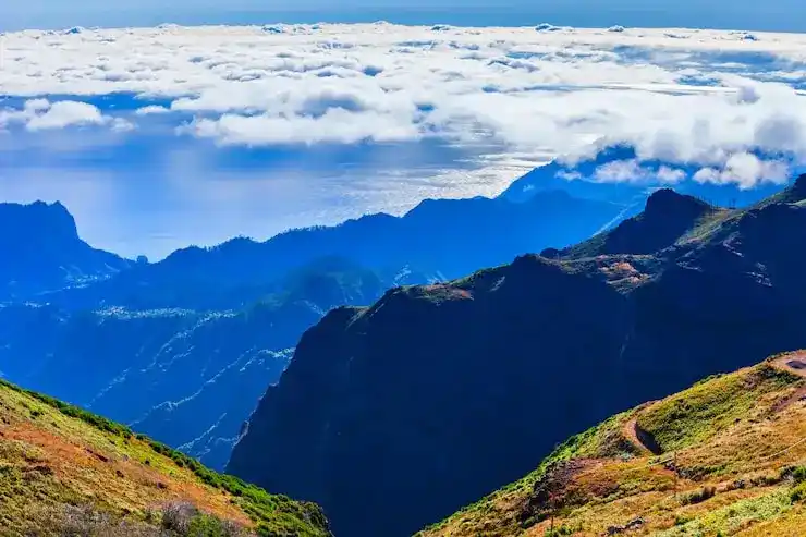 加拿大移民条件与身份规划