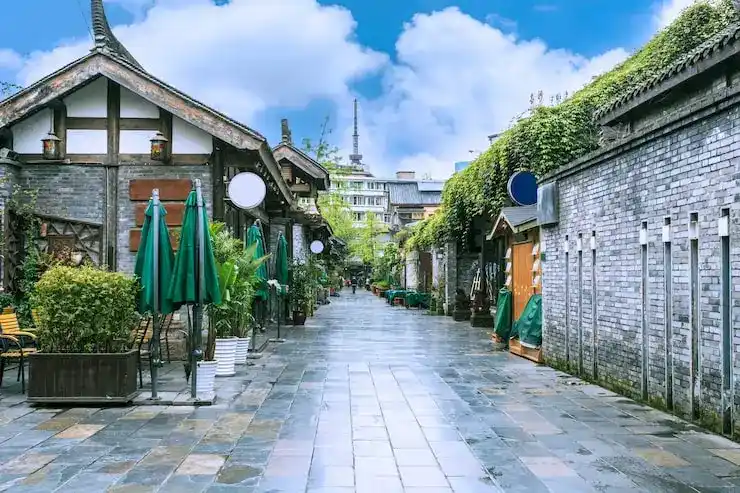 比利时移民政策与签证申请解析