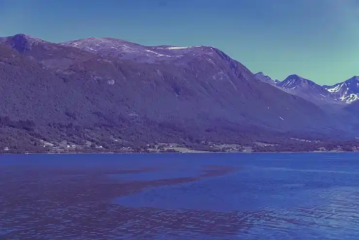 葡萄牙波尔图房价多少？房产市场与投资机会