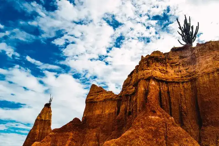 2025年葡萄牙黄金居留的审批周期是多久？最快多久能获批？