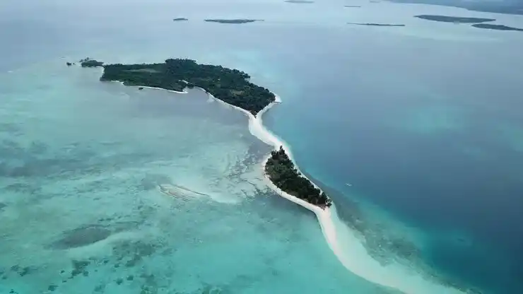 移民项目