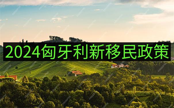 匈牙利足球Hungary football联赛的移民球迷入门手册