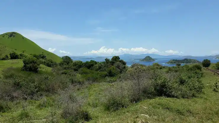 圣卢西亚护照移民费用2026：免签加拿大吗？