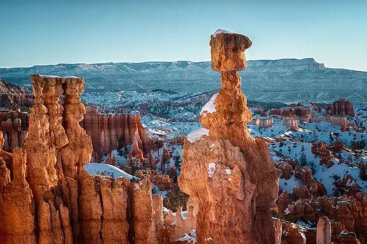 保加利亚移民申请材料造假被发现后，会有什么法律后果？