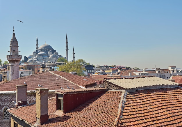 土耳其房产中介如何辨别其是否正规？