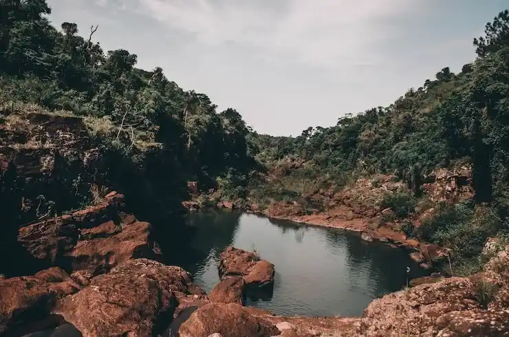 移民