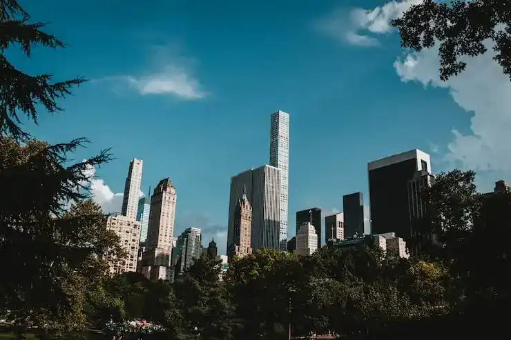 选择移民时，怎样考虑国家的社会福利体系？