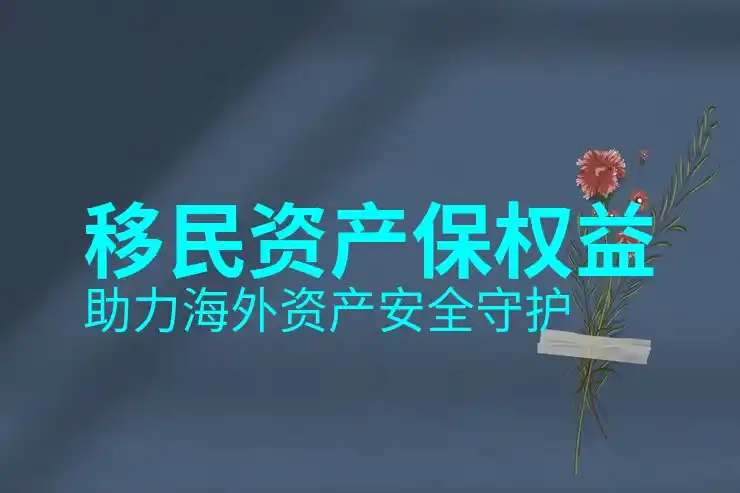 买房移民