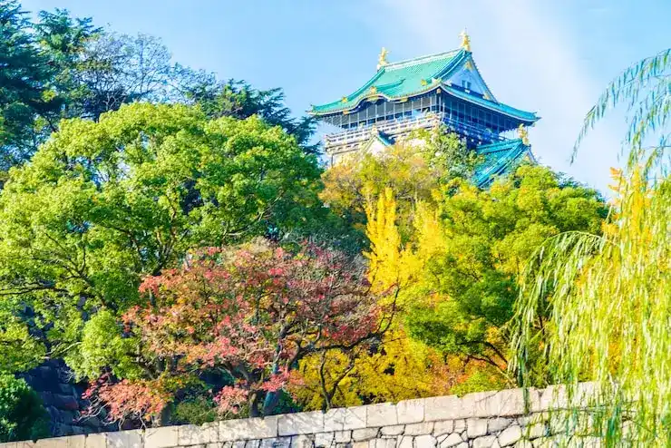 在深圳选择移民中介公司时，如何进行有效的市场对比？