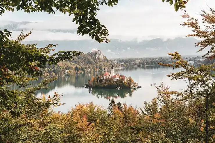 毛里求斯投资移民，医疗领域投资凭证，获批后45天内到账