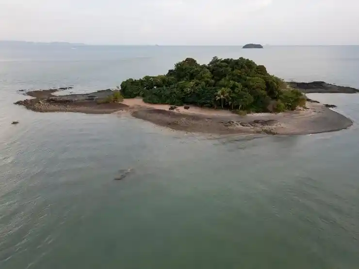 移民西班牙如何办理，申请材料准备与流程全步骤详解