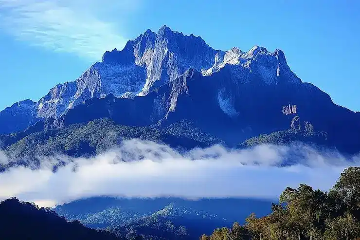 摩尔多瓦投资移民持有者，配偶能否在当地工作？