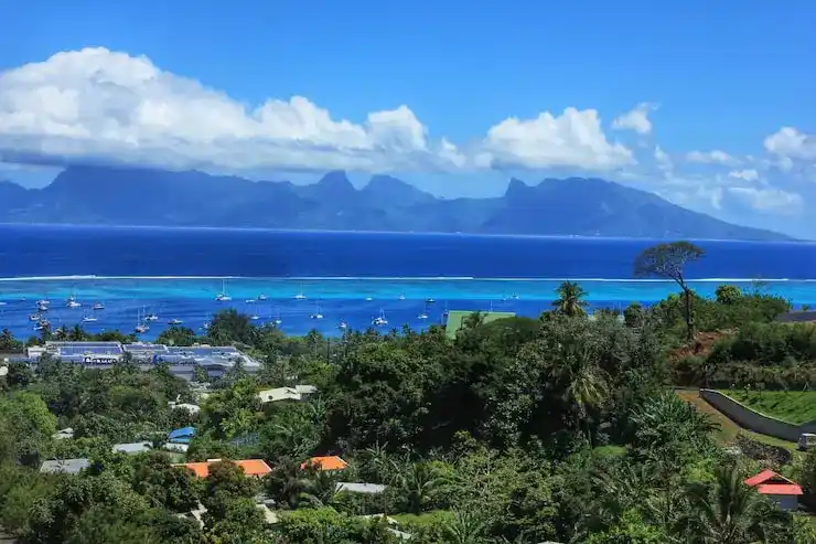 圣卢西亚身份孩子低门槛申请欧美高校