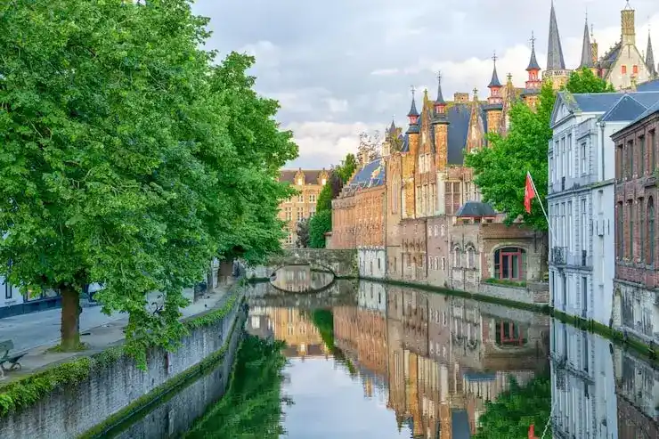 2026年加拿大SUV移民的条件与流程