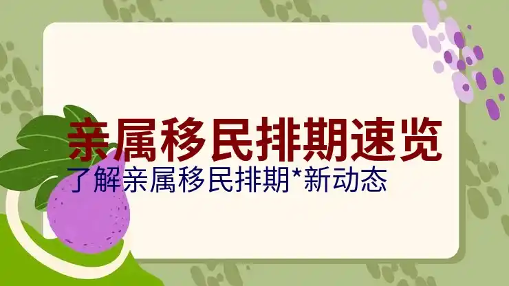 美国移民局进度查询系统，实时跟踪案件