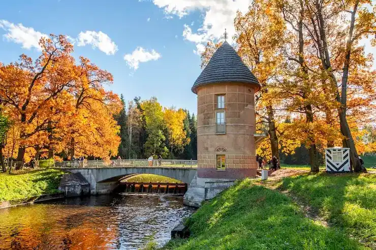 委托律师办理保加利亚移民，需提供什么授权文件（POA）？