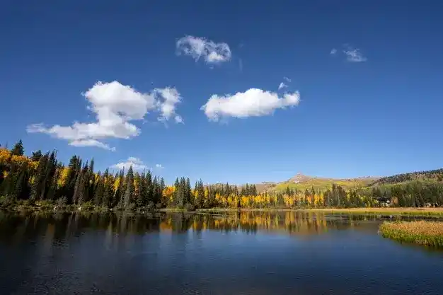 埃及护照移民费用：存款30万，购房25万