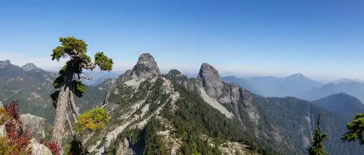 怎样移民葡萄牙？完整流程与费用分析