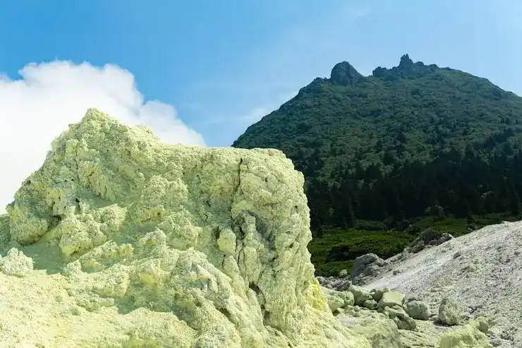 澳洲投资移民，投资项目合规证明，申请前2个月获取批复