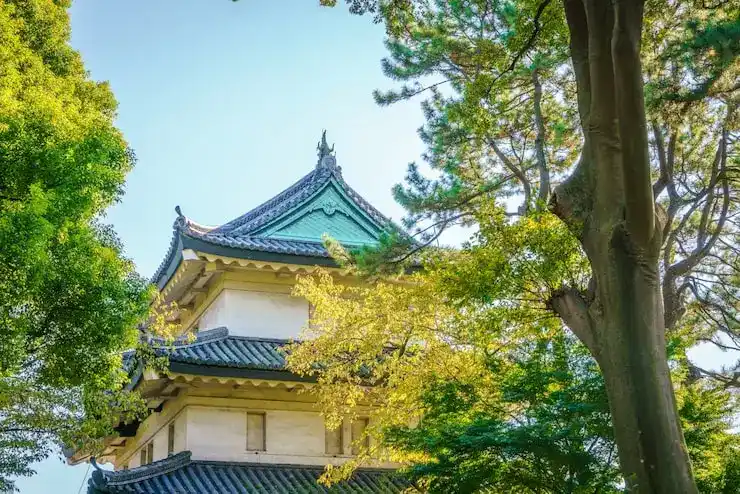 土耳其移民