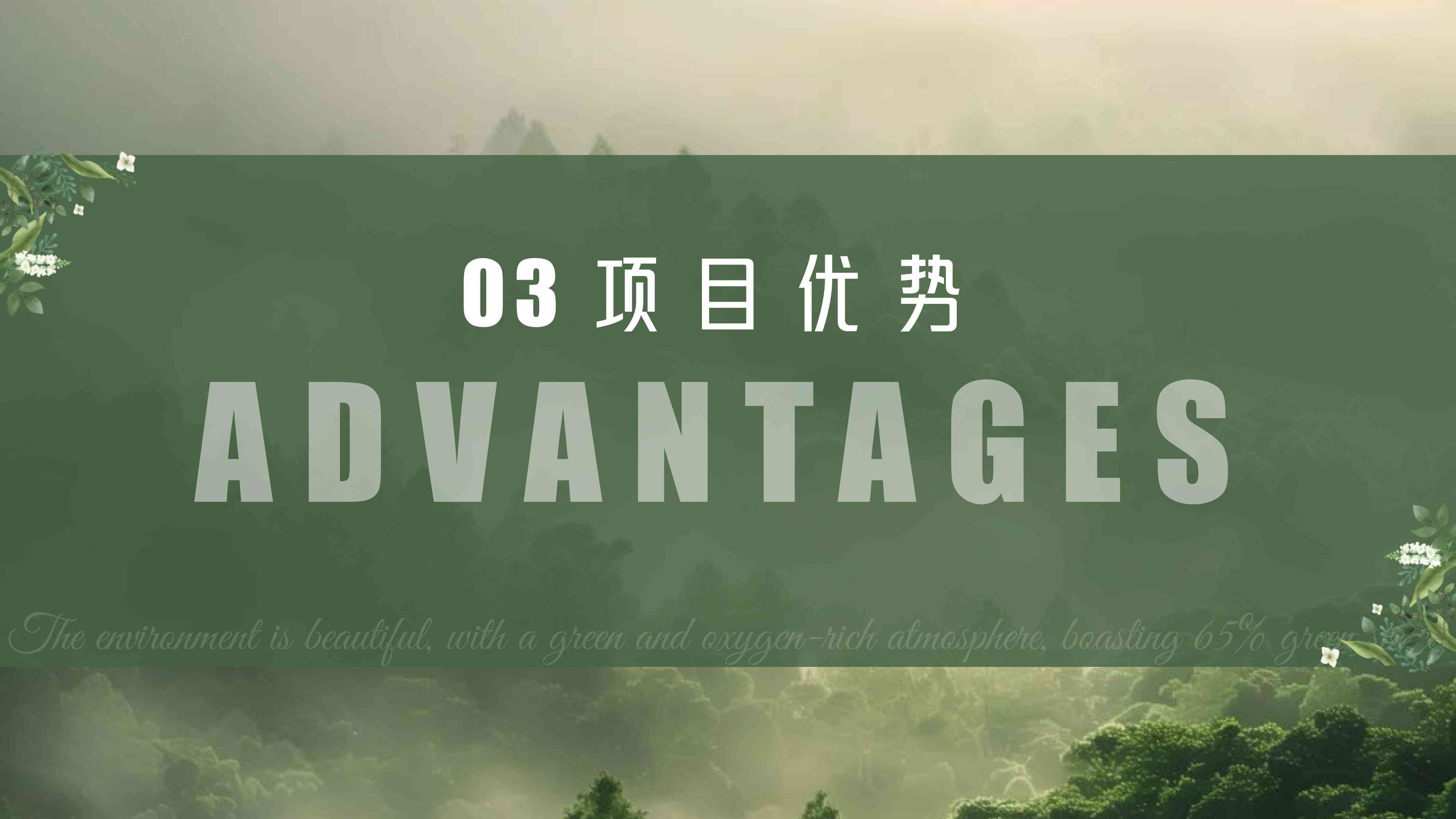 土耳其移民