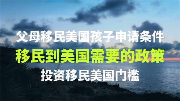 移民机构的资质和信誉对移民申请有多大影响？