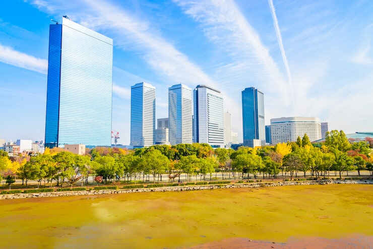 圣基茨护照移民中介