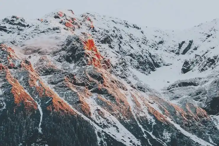 挪威永居卡续签需要什么条件？