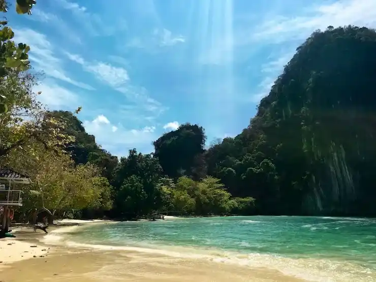 美国的意大利移民