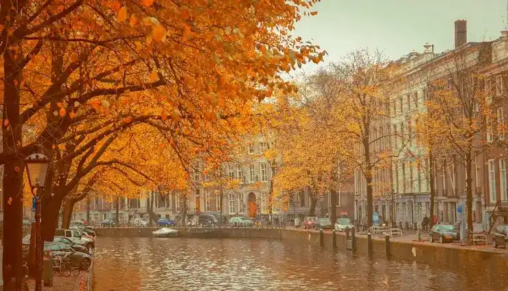 2025年德国永久居留的“移民监”要求是什么？年度离境上限是多少天？