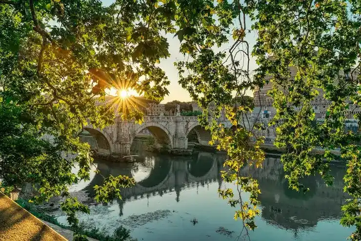 罗马尼亚移民申请材料造假被发现后，会有什么法律后果？