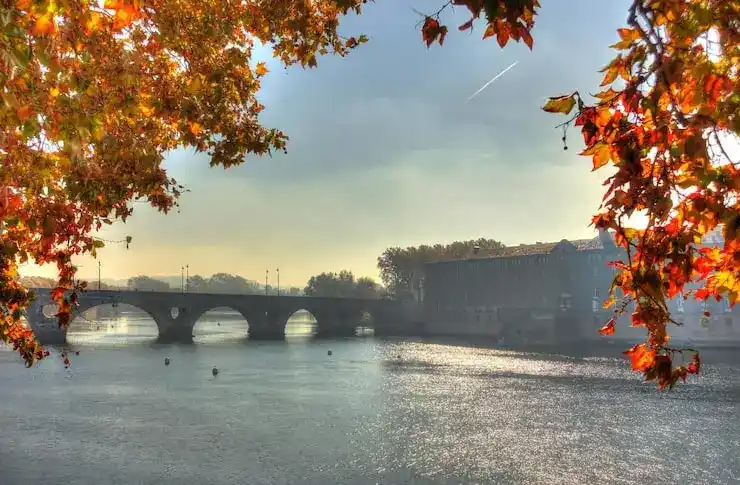 摩尔多瓦移民申请材料造假被发现后，会有什么法律后果？