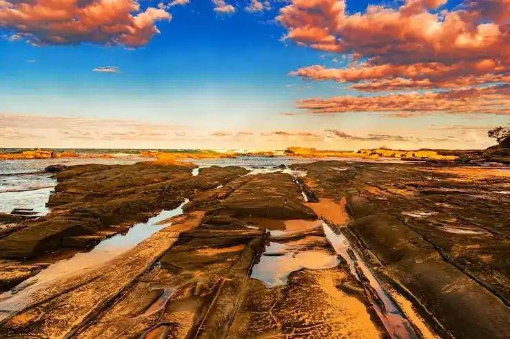 澳洲雇主担保办理费用明细：主申6480澳元+律师费