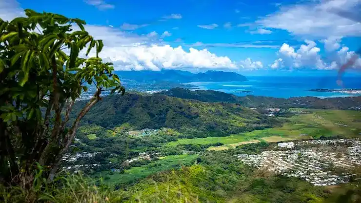 圣卢西亚海岛生活退休人群宜居新选择