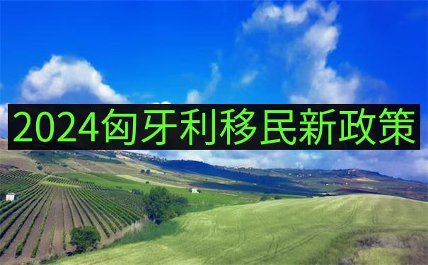 从匈牙利语到英语Hungarian language to English的移民生存翻译包