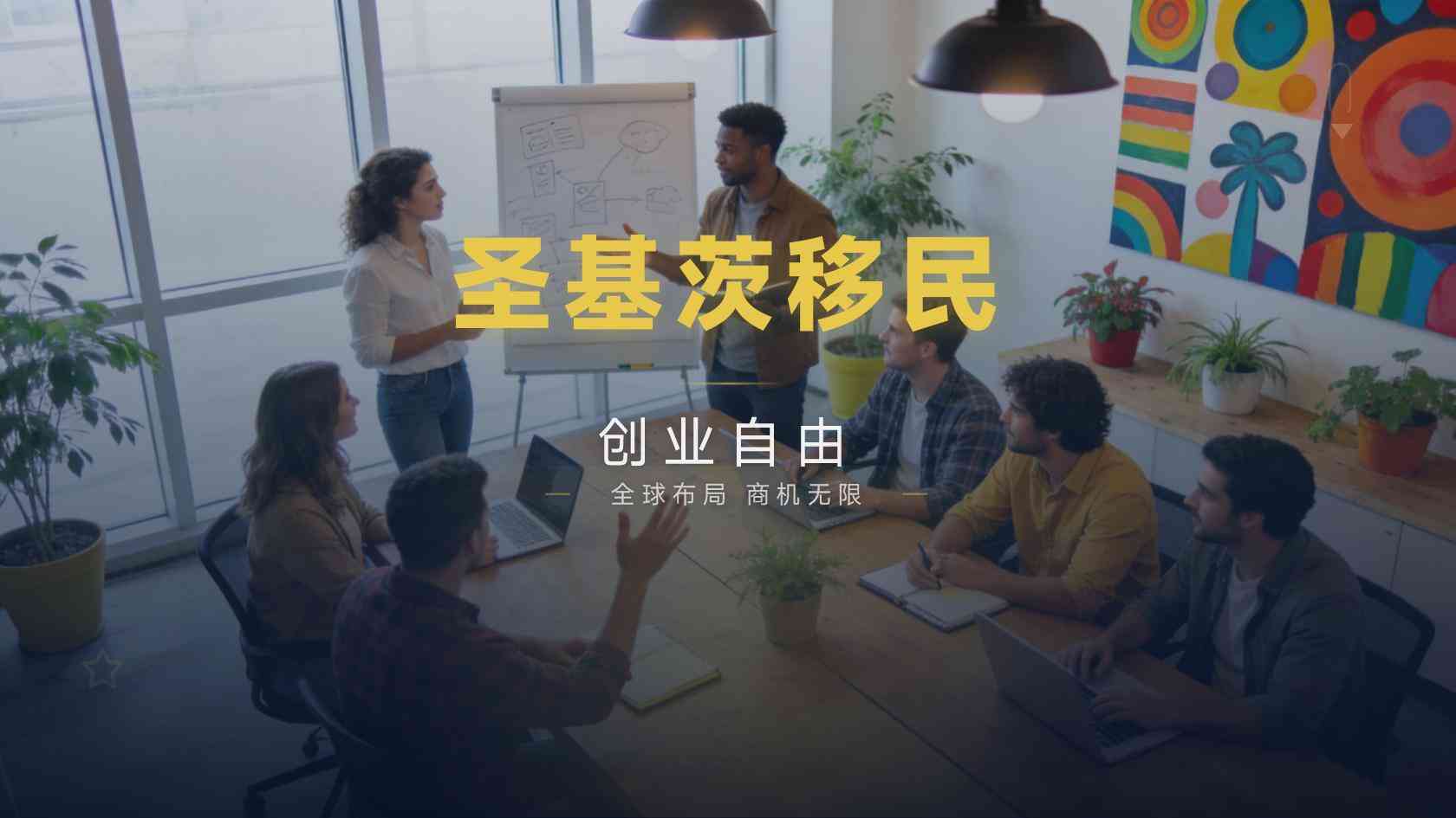 圣基茨投资入籍