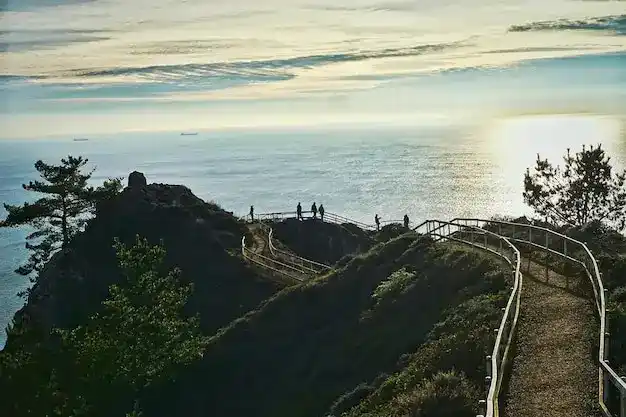 创业移民