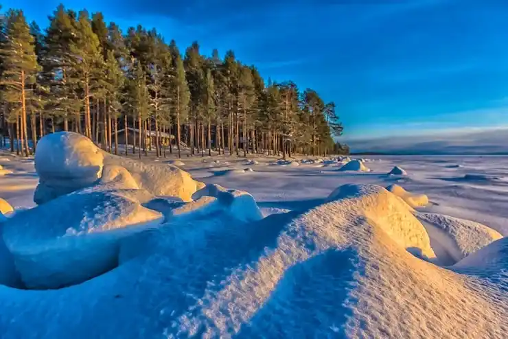 美国绿卡最新规定与申请流程