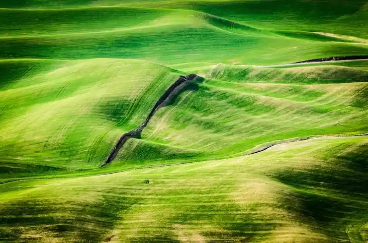 2025年最新：巴拿马移民申请需要满足哪些条件？