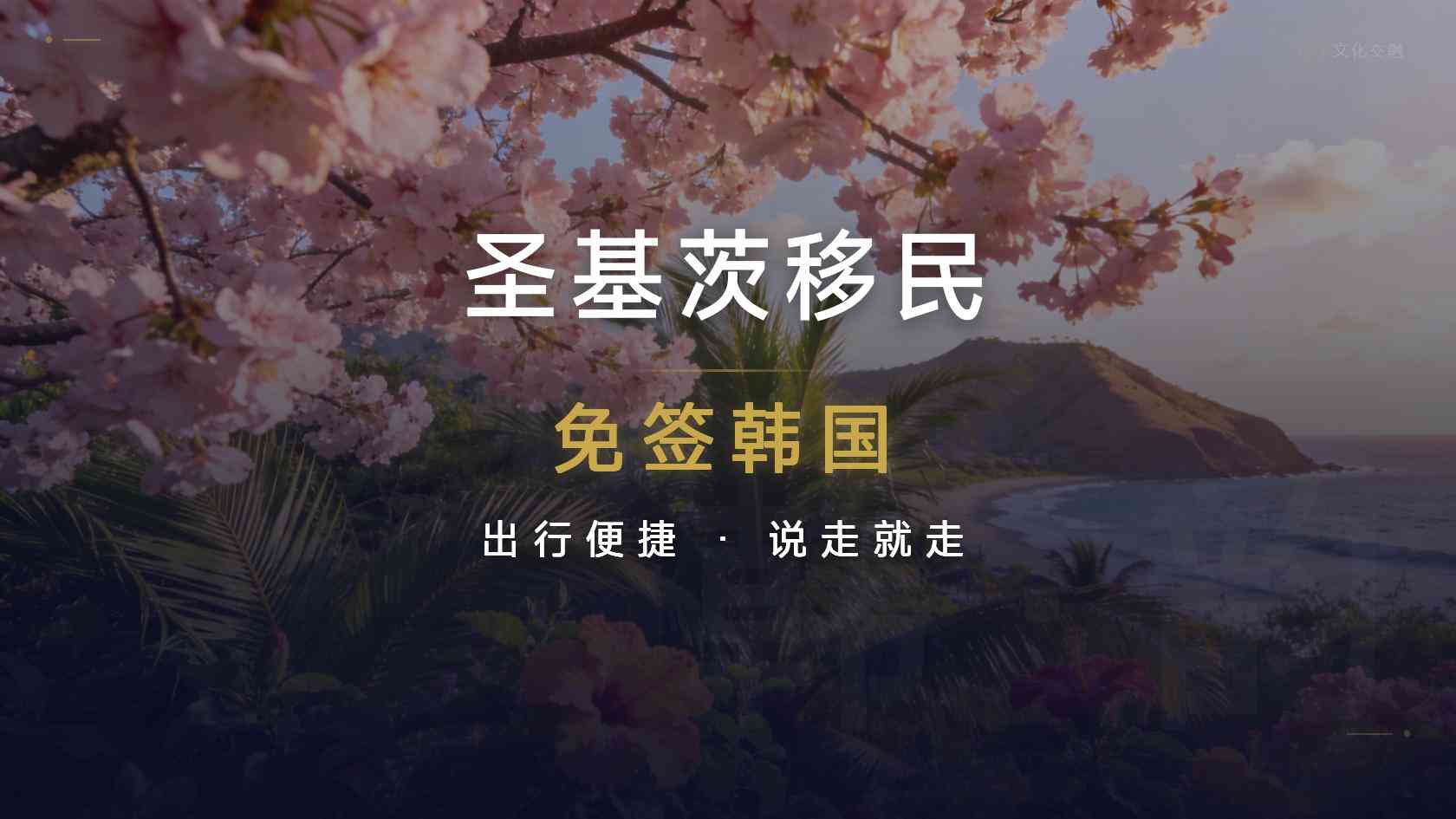 一家四口办圣基茨要多少钱-2026最新费用计算器