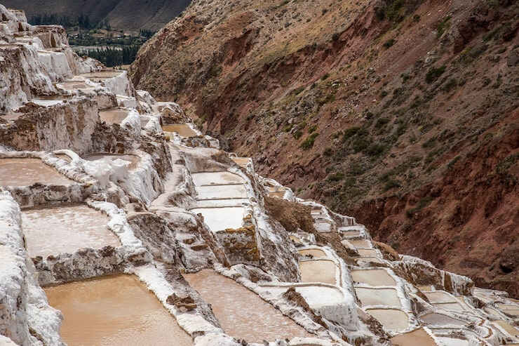 安提瓜投资移民