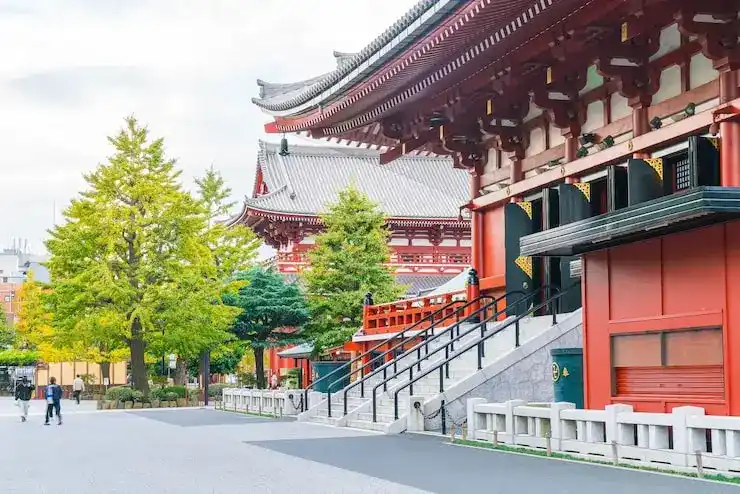 新加坡护照申请条件与流程